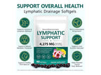 Lymphatic Support™ | 21-Botanical Herbal Wellness Complex